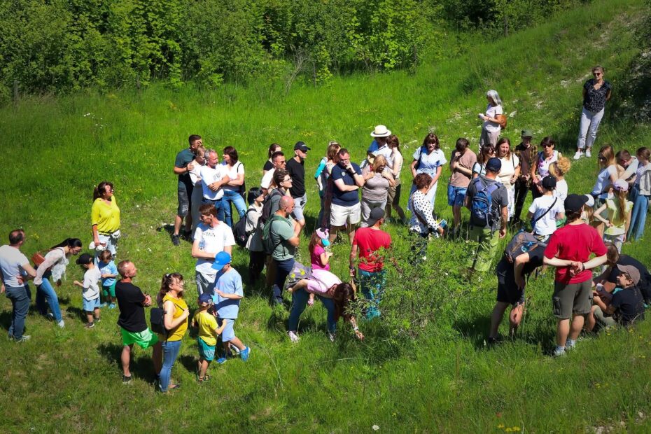 VIII Święto Storczyka już za nami. Dzień pełen natury, inspiracji i wyjątkowych doznań