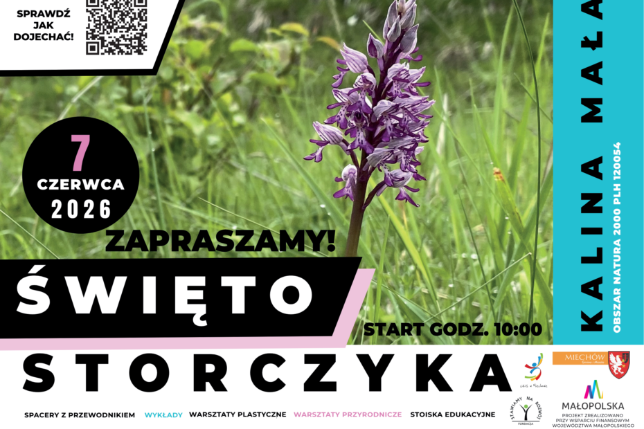 Zaproszenie na VIII Święto Storczyka